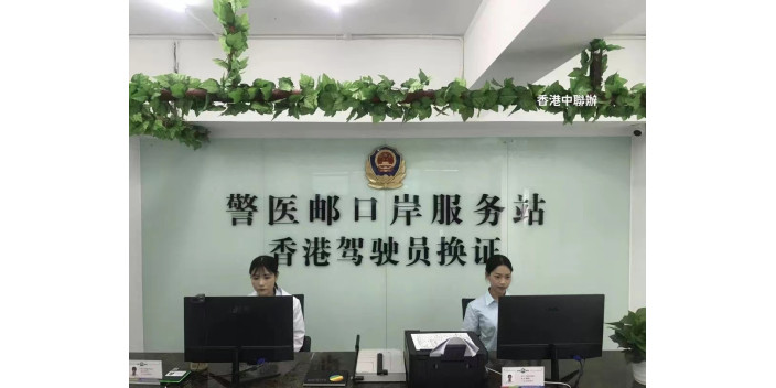 一文看清大灣區駕照百科！