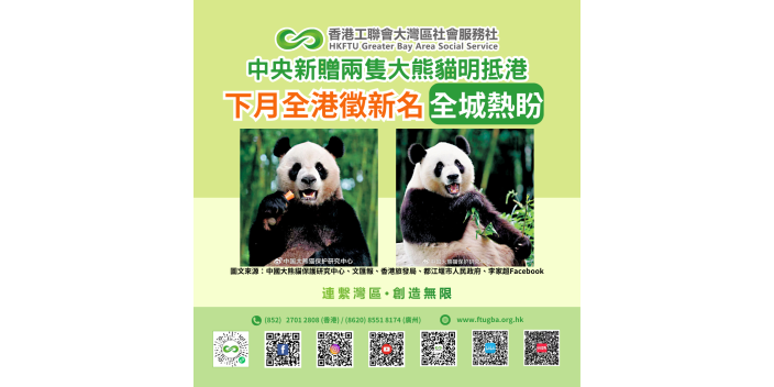 【全城熱盼】中央新贈兩隻大熊貓明到埗 下月全港徵新名