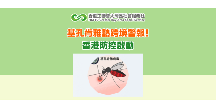 基孔肯雅熱跨境警報 香港防控啟動！