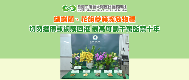 蝴蝶蘭、花旗參等瀕危物種 切勿違法攜帶或網購回港 最高可罰千萬監禁十年